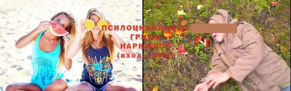 ешки Михайлов