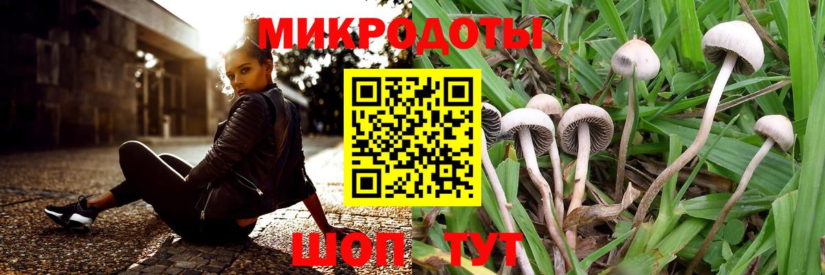 Псилоцибиновые грибы мухоморы Белогорск
